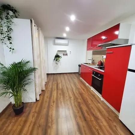 Appartement Speciale Jungle Centre