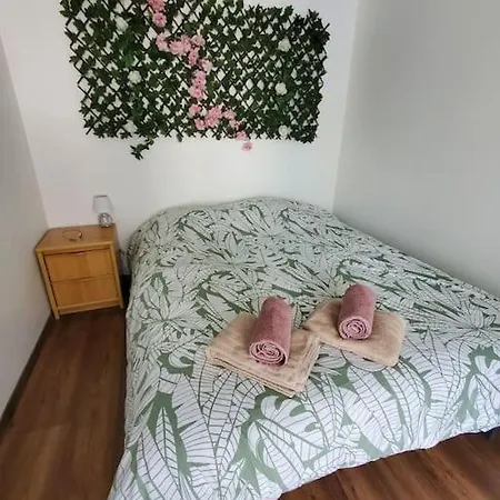 Speciale Jungle Centre Appartement