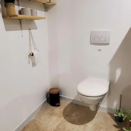 Appartement Speciale Jungle Centre